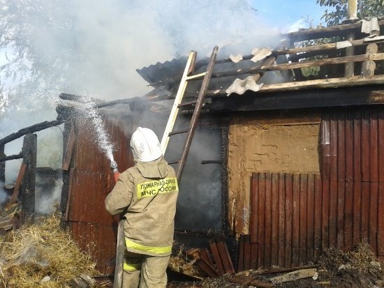 Пожар в Россошанском районе